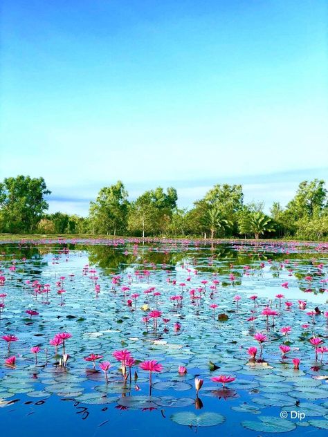 Nature Of Bangladesh, Bangladesh Village Photography, Bangladesh Landscape, Bangladesh Aesthetic, Bangladesh Nature, Bangladesh Travel, Beautiful Bangladesh, Village Photography, Kerala Tourism