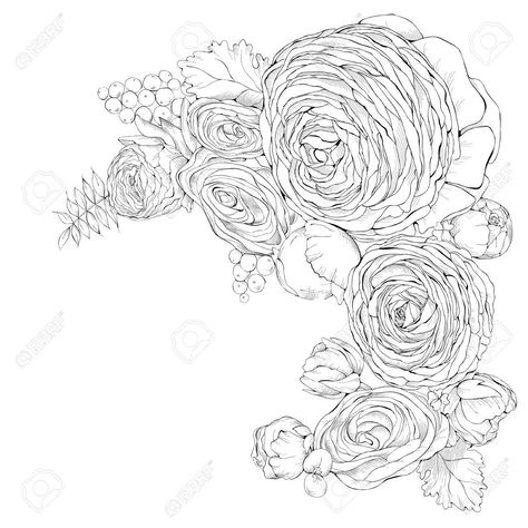 Ranculus Flowers Tattoo, Ranunculus Flower Tattoo, Ranunculus Drawing, Ranunculus Tattoo, Garden Tattoos, Flower Drawings, Flower Outline, Logo Idea, Flower Sketches