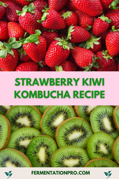 Raspberry Kombucha Recipe, Strawberry Kombucha, Cranberry Kombucha, Kefir Water, Kombucha Brewing, Kombucha Flavors, Kiwi Juice, How To Brew Kombucha, Homemade Kombucha