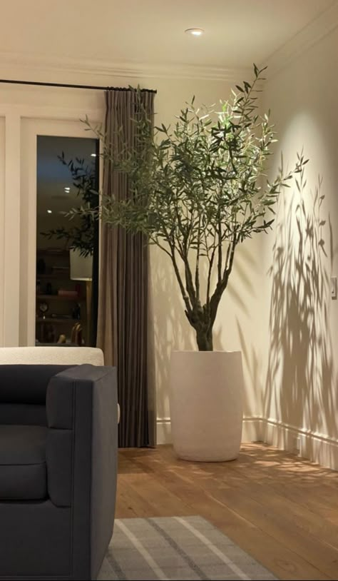 Big Plant In Living Room, Fejka Ikea Ideas, Living Room Tree, Plants Living Room, Big Indoor Plants, Modern Farmhouse Ideas, Medicinal Garden, Living Room Plants, Garden Kit