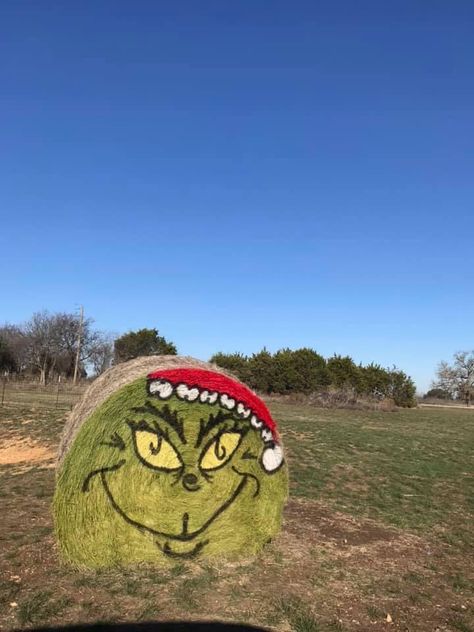 Hay Bales Christmas Decor, Round Bales Of Hay Decor, Haybale Christmas Ideas, Grinch Hay Bale, Round Hay Bale Decorating Ideas Christmas, Hay Bale Decorating Ideas Christmas, Christmas Hay Bale Ideas, Hay Bale Art Ideas, Christmas Hay Bale Decor