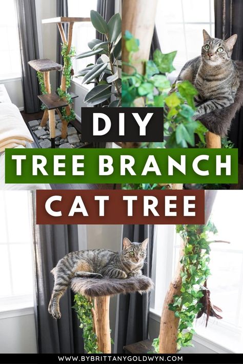 Our DIY tree branch cat tree is one of my favorite projects. Here's an update on this project two years later! It's still holding up great. Natural Cat Tree Branches, Tree Branch Cat Tree, Diy Cat Tree Real Branches, Branch Cat Tree, Diy Tree Branch, Pets Stuff, Ikea Lack Table, Lack Table, Diy Cat Tree