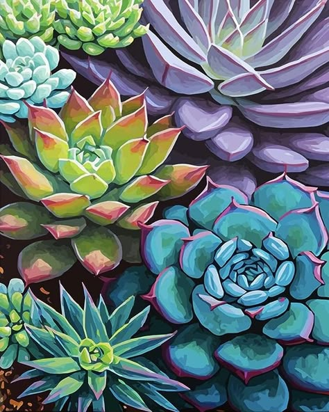 Amazon.com: DIY Paint by Number Succulents Paint by Numbers for Adults Garden Landscape Adult Paint by Numbers Kids on Canvas Abstract Style Paint by Numbers for Adults Beginner - Modern Décor Artwork 16x20inch : Everything Else Oil Painting Beginner, Cactus Flower Painting, Adult Paint By Numbers, Succulents Drawing, Cactus Paintings, Abstract Painting Acrylic Modern, Succulent Painting, Beginners Painting, Basic Painting