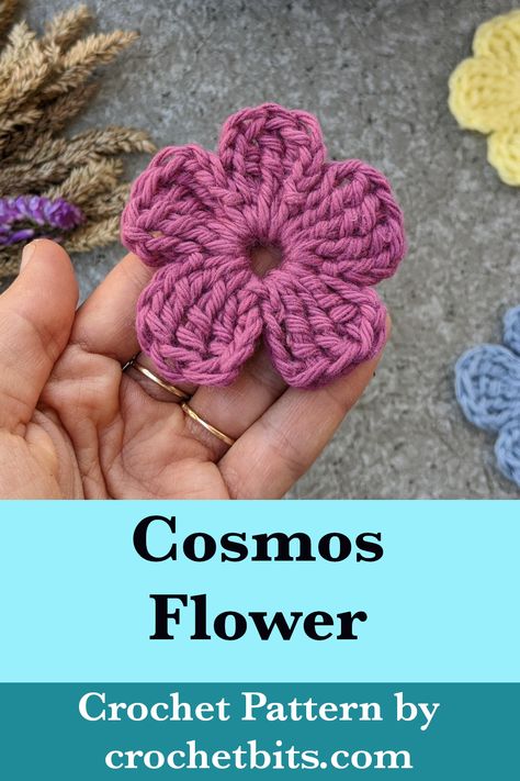 Crochet Cosmos Flower Pattern Crochet Cosmos, Crochet Cosmos Flower Pattern, Embroidered Cosmos Flowers, Garden Cosmos Flower, Cosmos Flower Botanical Illustration, Crochet Baby Projects, Cotton Club, Baby Projects, Crochet Patterns For Beginners