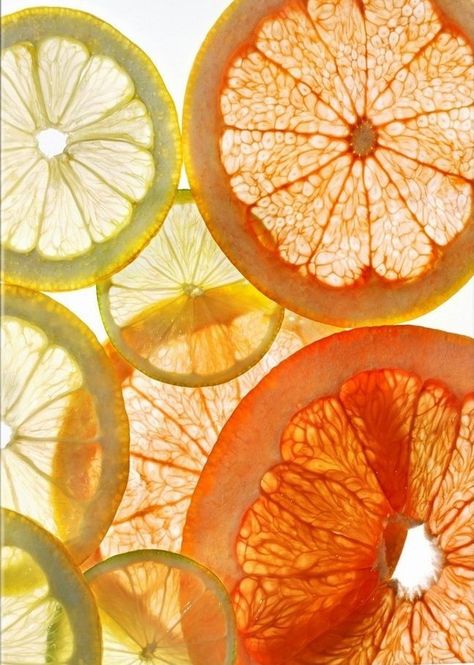 Shiny Objects Photography, Abstract Food Photography, Orange Aesthetic Fruit, Citrus Aesthetic, Fruit Texture, Ingredients Photography, Foto Macro, Pattern Photography, Beer Advertising