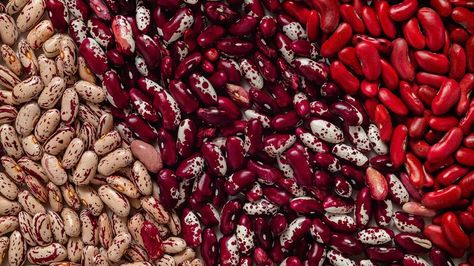 What Are Anasazi Beans And What's The Best Way To Cook Them? - Tasting Table Anasazi Beans, Holiday Advertising, Tostada Recipes, Kinds Of Beans, Bean Varieties, Tasting Table, Dried Beans, Refried Beans, Different Kinds