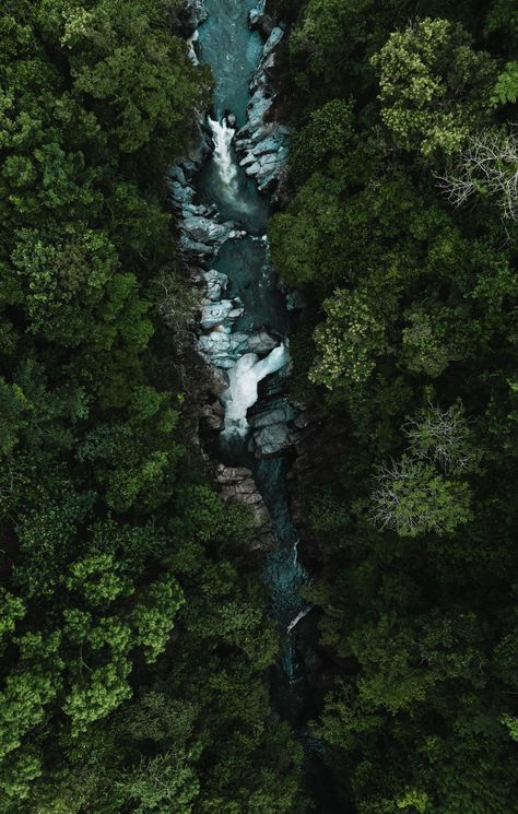 A river flowing through a lush green forest photo – Free Indonesia Image on Unsplash Forest Top View, Lush Green Forest, South Sulawesi, River Flowing, Funky Fonts, Mountain Images, Mountain Background, River Forest, Forest Photos