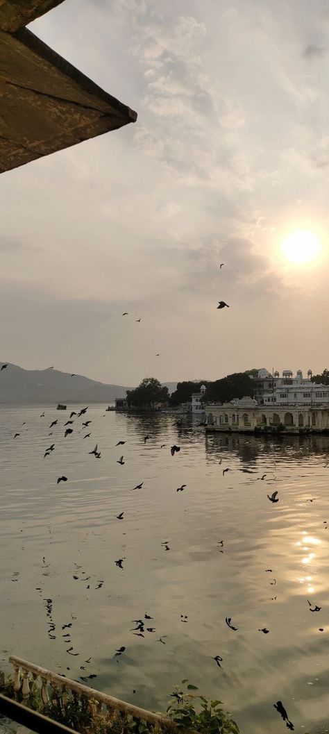 #ganghorghat #udaipur #india #view Taj Palace Udaipur, Ambrai Ghat Udaipur, Udaipur Snap, Udaipur Food, Udaipur Aesthetic, Udaipur Photography, Udaipur India, Amazing Bedroom Designs, Streak Ideas