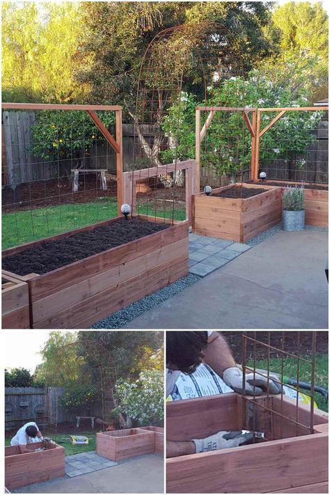 Build A Trellis, Building A Trellis, Taman Diy, Easy Designs, Building Raised Garden Beds, Building A Raised Garden, Veg Garden, Have Inspiration, Vegetable Garden Design