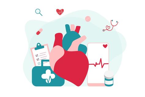 Heart Model, Medical Consultation, Modern Heart, Medical Examination, Cardiovascular System, Occupational Health And Safety, Cardiology, Free Vector Graphics, Big Heart