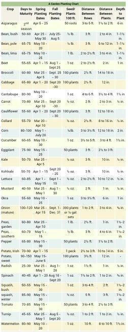 Planting Schedule - zone 6: Planting Schedule For Zone 7, Growing Calendar Zone 6, Zone 5 Planting Schedule Vegetables, Zone 6a Planting Schedule, Zone 7a Planting Schedule, Zone 5 And 6 Gardening, Zone 6b Planting Schedule, Zone 5b Planting Schedule, Zone 5 Planting Schedule