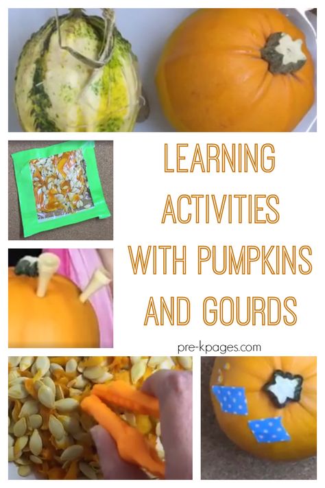 Pumpkin Activities For Preschool, Fall Pumpkin Activities, October Themes, Autumn Preschool Theme, Pumpkin Unit, Fun Learning Activities, Fall Board, Pumpkins And Gourds, Pre K Pages