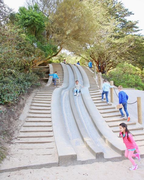 San Francisco is a mecca for families, with a laundry list of kid-friendly attractions that go way beyond the cliched tourist destinations (we're looking at you, Alcatraz). Here are the 29 best. Socal Vacation, San Fransico, Things To Do Near San Francisco, San Francisco Things To Do, California Family Vacation, Things To Do In San Francisco, San Francisco Things To Do In, San Francisco Family Photoshoot, San Francisco For Families