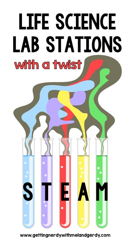 How to create and implement STEAM based lab stations in your science class! Instructional Specialist, Biology Activities, Science Experience, Food Webs, Stem School, Ngss Science, Science Stations, Science Labs, Biology Classroom