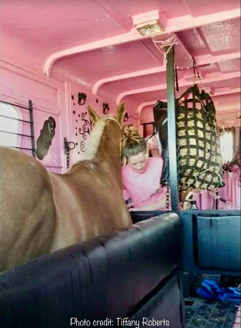 Adorable pink horse trailer interior Horse Truck Interior, Pink Horse Trailer, Horse Trailer Paint Ideas, Horse Trailer Interior, Horse Trailer Remodel, Horse Trailer Organization, Horse Truck, Barbie Pets, Horse Camping