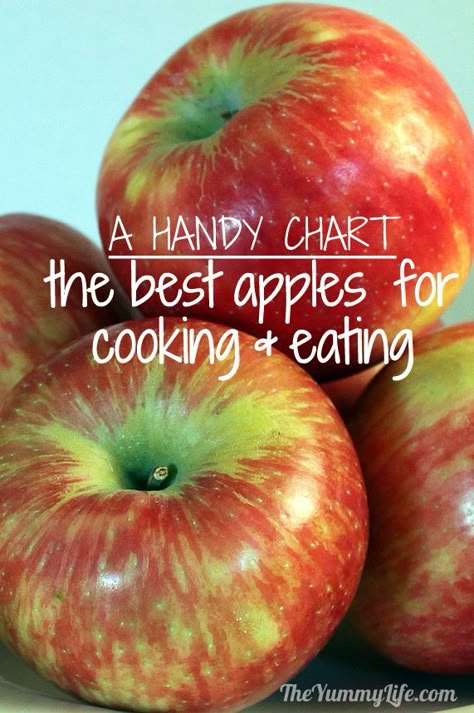 Comparing Apples to Apples -- a chart to help you choose the best ones for eating and cooking! Applesauce and apple butter and apple pie and... lots of apples! :) Best Apples To Eat, Best Cooking Apples, Apple Chart, Fruit Sides, Canning Jelly, Applesauce Recipes, Cooking Apples, Cooking Charts, Apple Facts