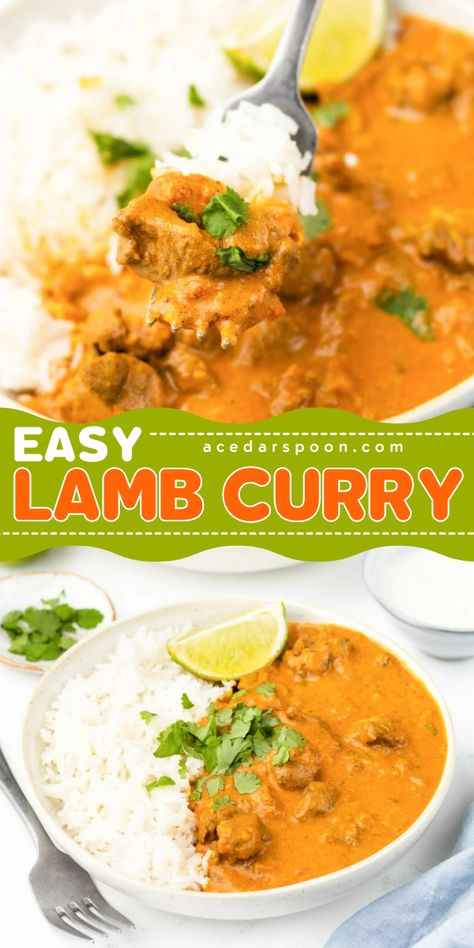 This Easy Lamb Curry Recipe is a flavorful dish mixing lamb in a rich, spiced sauce and a combination of onion, garlic, ginger, and various spices like turmeric, cumin, coriander, and garam masala. This dish simmers until the lamb is tender. This dish is typically served with rice and naan bread. Curried Lamb Recipes, Curry Spice Mix Recipes, Ground Lamb Curry Recipes, Lamb Curry Recipes Indian, Beef Masala, Slow Cooker Beef Curry, Lamb Curry Recipes, Pork Salad, Easy Curry