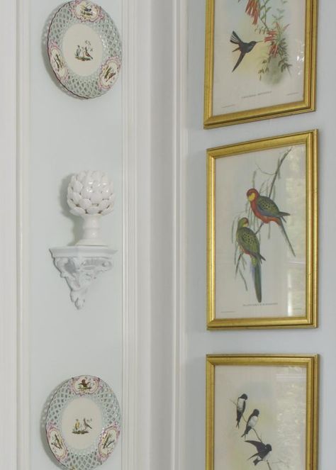 Plate Art Wall Decorating Ideas, French Wall Decor, Dining Room Images, Traditional Breakfast, Bird Plates, French Walls, Dining Room Ideas, Traditional Dining, Spring Birds