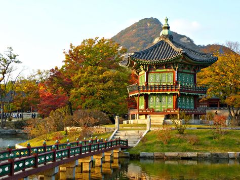 Gyeongbok Palace in the fall - Seoul, South Korea Beautiful Place In Korea, South Korea Palace, Korea Palace, Korean Temple, Oil Painting Materials, Japanese Countryside, Hawaiian Travel, South Korea Travel, Forbidden City