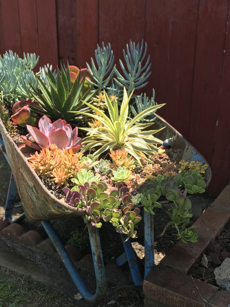 Succulent wheelbarrow #SucculentSerenity Succulent Wheelbarrow Garden, Succulent Wheelbarrow, Aloe Garden, Mini Cactus Garden, Succulent Rock Garden, Gardening For Dummies, Wheelbarrow Planter, Water Wise Landscaping, Wheelbarrow Garden