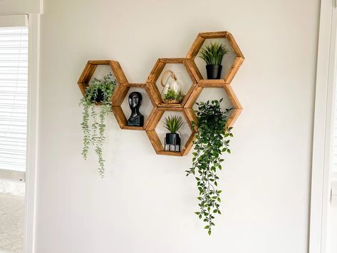 Set of 6 Hexagon Shelves Honeycomb Shelves Plant Shelves - Etsy Australia Honeycomb Wall Decor, Shelves Plant, Hexagon Wall Shelf, Design Walls, Essential Oil Shelf, Whimsical Bedroom, Honeycomb Shelves, Hexagon Shelves, Crystal Shelves