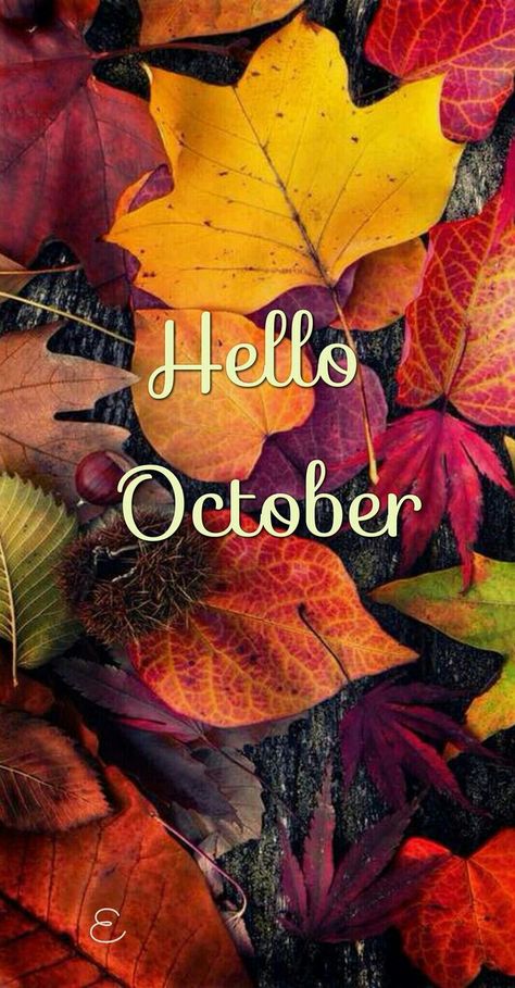 Hello October Images, October Images, October Pictures, Neuer Monat, Autumn Phone Wallpaper, October Wallpaper, Disney Background, Iphone Wallpaper Fall, Hello October