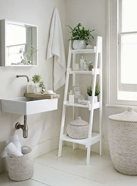 Bathroom ladder shelf