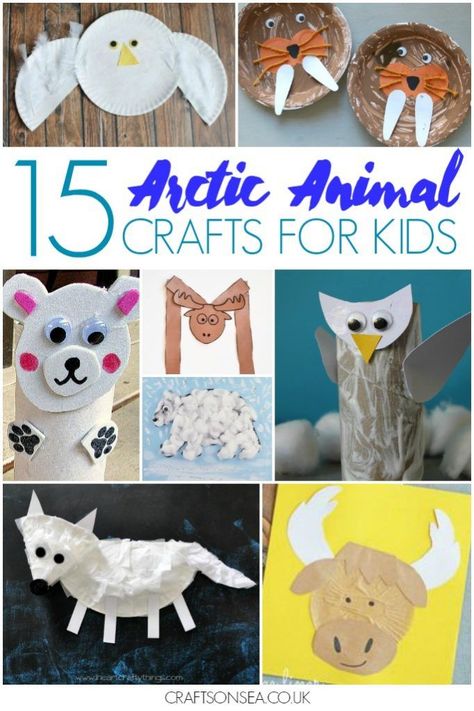 Easy and cute arctic animal crafts for kids including orcas, reindeers, snowy owls, moose crafts walruses and polar bears. Arctic Crafts, Arctic Animal Crafts, Bunny Village, Arctic Animals Preschool, January Themes, January Craft, February Preschool, Arctic Animals Crafts, Winter Animal Crafts