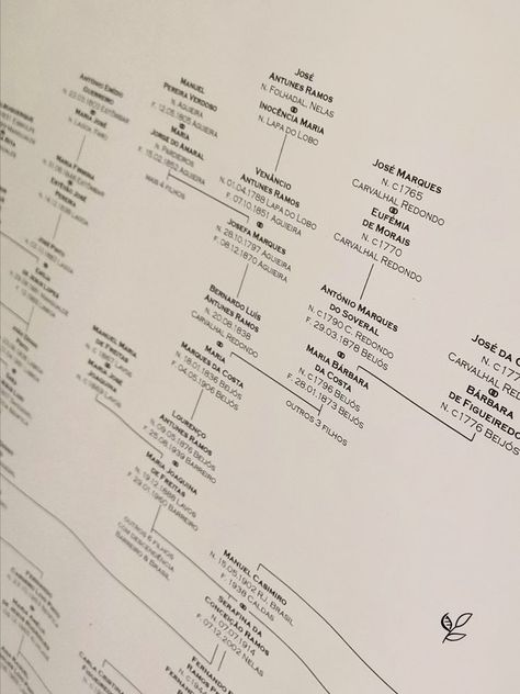 Classic family tree design Family Tree Graphic, Family Tree Design, Unique Family Tree, Genealogy Tree, Our Family Tree, Family Tree Designs, Family Tree Research, Genealogy Chart, Family Tree Chart