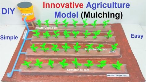 innovative agriculture model that demonstrates the concept of mulching Agriculture Projects For School, Roses In Potatoes, Propagate Roses, Pallet Potting Bench, Vertical Container Gardening, Cool Science Projects, Physics Projects, Chemistry Projects, Agriculture Projects