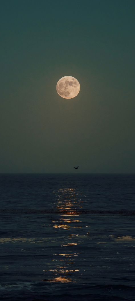 Moonlight reflection over sea Captured by: Gabriel Tovar. cropped mobile wallpaper 1080x2400 Moon Under The Sea, Soft Moon Aesthetic, Moon At Daytime, Moon And Sea Wallpaper, Under The Moon Aesthetic, Selenophile Aesthetic Wallpaper, Selenophile Aesthetic, Ocean And Moon, Moonlight Wallpaper