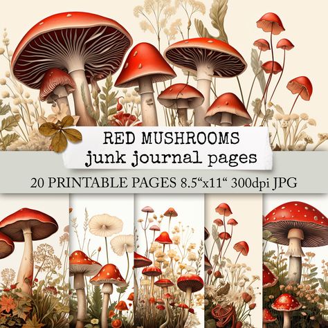 Do you love using mushrooms in your junk journals? Then I have just the thing for you! 'RED MUSHROOMS' - a digital paper collection featuring beautiful fly agaric mushrooms. These pages are perfect for your autumnal mushroom journal and other paper crafts! Available in US LETTER & DIN A4 size now in my shop. Forest Falls, Digital Newspaper, Journal Printables, Digital Scrapbooking Kits, Stationery Set, Craft Stick Crafts, Scrapbook Kits, Journal Pages, Digital Printables