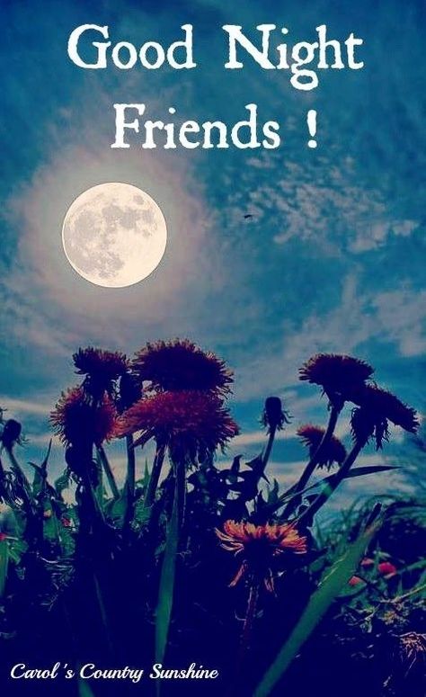 Good Night Friends Pictures, Photos, and Images for Facebook, Tumblr, Pinterest, and Twitter Good Night Friends Images Gif, Nighty Nighty, Nite Quotes, Goodnight Quotes For Friends, Good Night Dear Friend, Goodnight Friends, Shubh Ratri, Good Night Friends Images, Good Night Dear