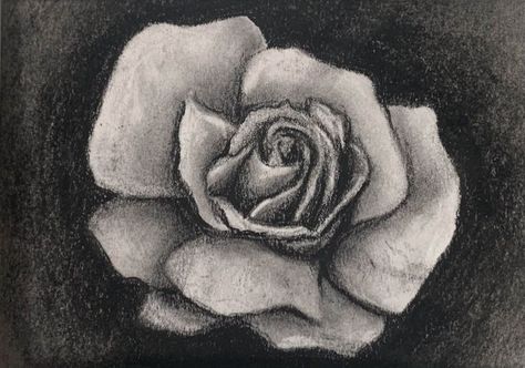 Rose Charcoal Drawing, Sitting Drawing, Charcoal Drawings, Charcoal Sketch, Rose Drawing, Charcoal Art, Art Painting Gallery, Middle School Art, Painting Gallery