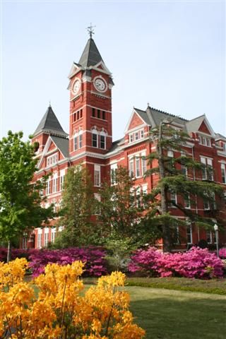 Samford Hall - used to called Old Main which was the main classroom building before it burned down and then Samford Hall was built using the old bricks salvaged from Old Main. Also, the clock tower chimes the Auburn Fight Song everyday at noon! Love, Peace, and ALL IN!! Samford Hall Auburn, Auburn Campus, Auburn Tigers Football, Auburn Alabama, Auburn Football, College Days, Dream College, Old Bricks, Sweet Home Alabama