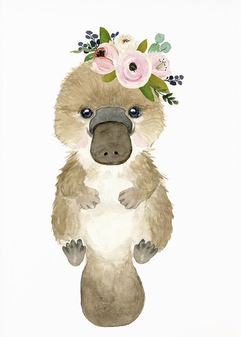 Kawaii Platypus, Australian Animal Nursery, Baby Platypus, Australian Nursery, Aussie Animals, Baby Animal Drawings, Baby Animal Prints, Platypus, Australian Animals