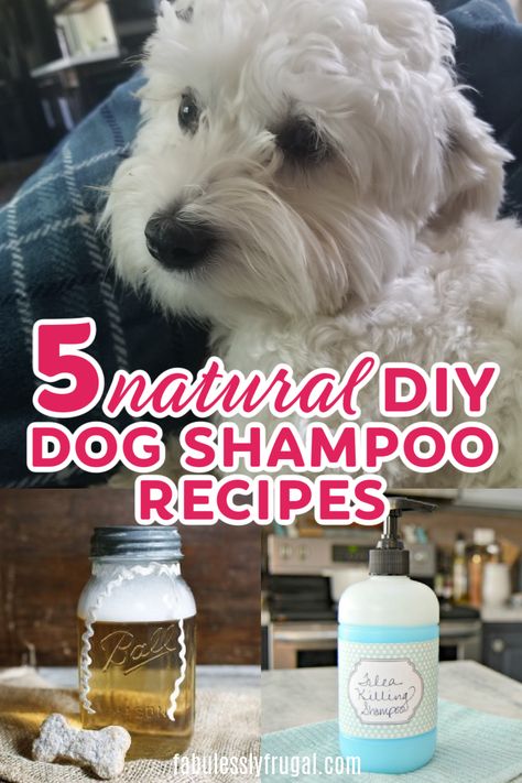 5 All Natural DIY Dog Shampoo Recipes You Will Love - Fabulessly Frugal All Natural Dog Shampoo, No Rinse Dog Shampoo Diy, Diy Puppy Shampoo, Deodorizing Dog Shampoo Diy, Best Puppy Shampoo, Dog Shampoo Homemade, Dog Shampoo Recipe, Organic Dog Shampoo, Diy Dog Shampoo