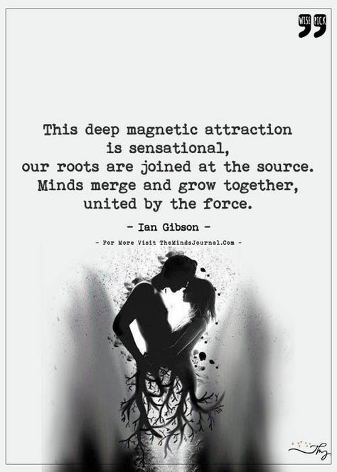 This magnetic attraction is sensational - http://themindsjournal.com/this-magnetic-attraction-is-sensational/ Twin Flame Love Quotes, Connection Quotes, Thinking Of You Quotes, The Minds Journal, Minds Journal, Better Mental Health, Magnetic Attraction, Twin Flame Love, Soulmate Love Quotes