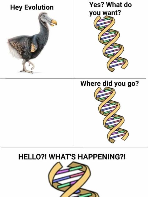 Trending Dank 'Evolution' Memes Will Make You Want To Defy Your Biological Destiny - Memebase - Funny Memes Trending Images, Cute Animal Memes, Silly Goofy, Sarcastic Quotes Funny, Memes Humor, Nerd Alert, Meme Template, Zoology, Know Your Meme