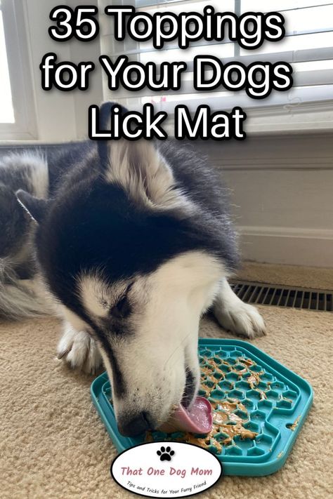 What To Put On Lick Mats, Dog Treat Mat, What To Put On A Lick Mat For Dogs, Dog Enrichment Lick Mat, Dog Lick Mat Food Ideas, Dog Lick Pad Recipes, Frozen Dog Lick Mat Ideas, Food Enrichment For Dogs, Dog Lick Mat Recipes Easy