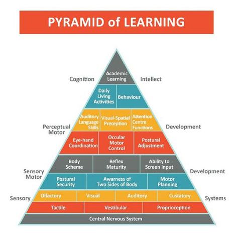 The Pyramid Of Learning Learning Pyramid, Sensory Integration Disorder, Glenn Doman, Sensory System, Language Centers, Pediatric Occupational Therapy, Learning Tips, Sensory Integration, Sensory Development