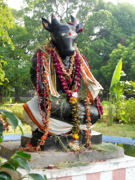 Hindu Cosmos — Lord Nandikeshwara - Lord of Mridangam Indian... Indian Backdrop, Hindu Cosmos, Rudra Shiva, Krishna Avatar, Hindu Rituals, Shiva Tattoo, Shiva Parvati Images, Hindu Statues, Lord Shiva Statue