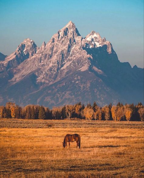 Yellowstone Aesthetic Wallpaper, Mountain Cowgirl Aesthetic, Rocky Mountains Aesthetic, Usa Vacation Ideas, Yellowstone Aesthetic, Wyoming Aesthetic, American Mountains, Respect Wildlife, Yellowstone Photography