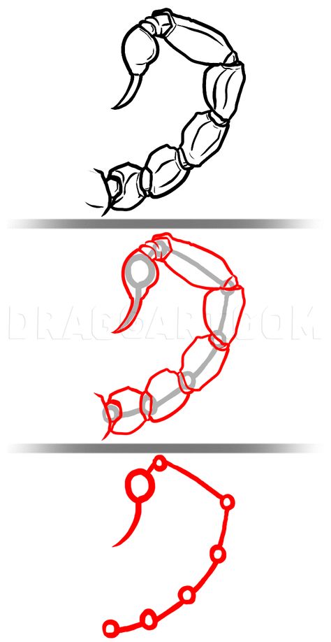 How To Draw Scorpions, Step by Step, Drawing Guide, by MichaelY | dragoart.com Scorpion Drawing Reference, Scorpion Tail Drawing Reference, Scorpion Oc Art, Scorpio Sketch Drawings, Scorpion Anatomy Drawing, How To Draw Scorpion, Simple Scorpion Drawing, Scorpion Tail Drawing, Cute Scorpion Drawing