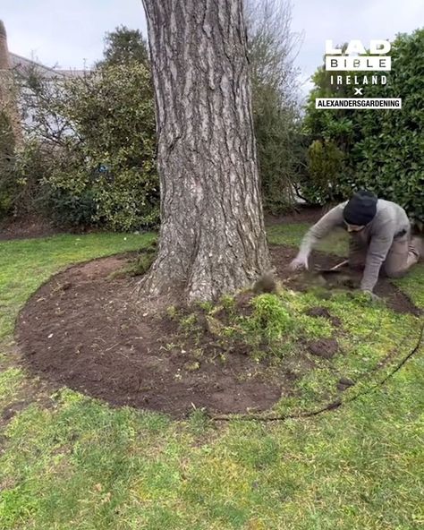 Creating a tree ring | garden, tree | Adding a ring around the base of a tree just makes a garden look so much tidier 🌳 | By LADbible Ireland | Facebook Landscaping Around Trees With Rocks, Landscaping Around Trees, Ring Tree, Tree Ring, Tree Rings, Tree Roots, Metal Tree, Oak Tree, Lawn And Garden