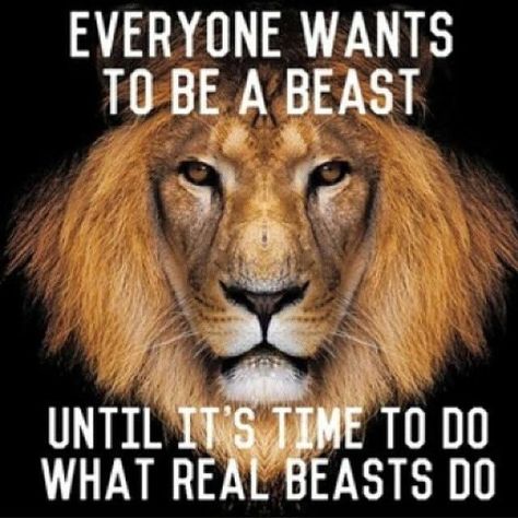 [Image] Everybody wants it... Beast Mode Quotes, Lion Quotes, Warrior Quotes, A Beast, Real Men, Gym Humor, Badass Quotes, A Lion, Beast Mode