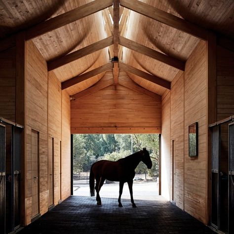 Spanish Horse, Spanish Hacienda, Social Space, High Design, Horse Barns, University Of Miami, Penguin Random House, Animal Books, Random House