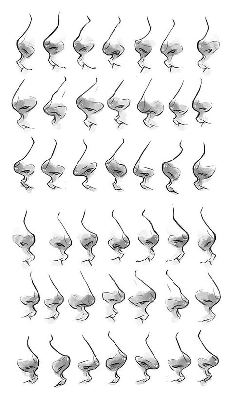 Face Proportions Drawing 3/4, Anatomy Tips, Drawing Basics, Face Anatomy, Výtvarné Reference, Nose Drawing, 얼굴 그리기, Drawing Faces, Animale Rare