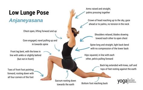 Low Lunge Yoga, Low Lunge, Lunge Variations, Crescent Lunge, Spinal Injury, Chair Pose, Chest Opening, Downward Facing Dog, Bridge Pose