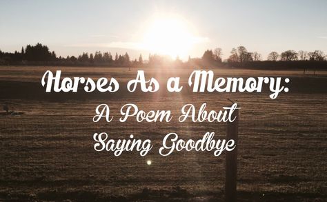 A Poem About Saying Goodbye To A Horse Poems For Boys, Poem About Myself, Western Quotes, Horse Riding Quotes, Riding Quotes, Free Horses, Heart Break, Sorry For Your Loss, Prayer For You